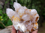 Natural Fairy Golden Limonite Spirit Quartz Crystals x 6 From Boekenhouthoek, South Africa - Toprock Gemstones and Minerals 