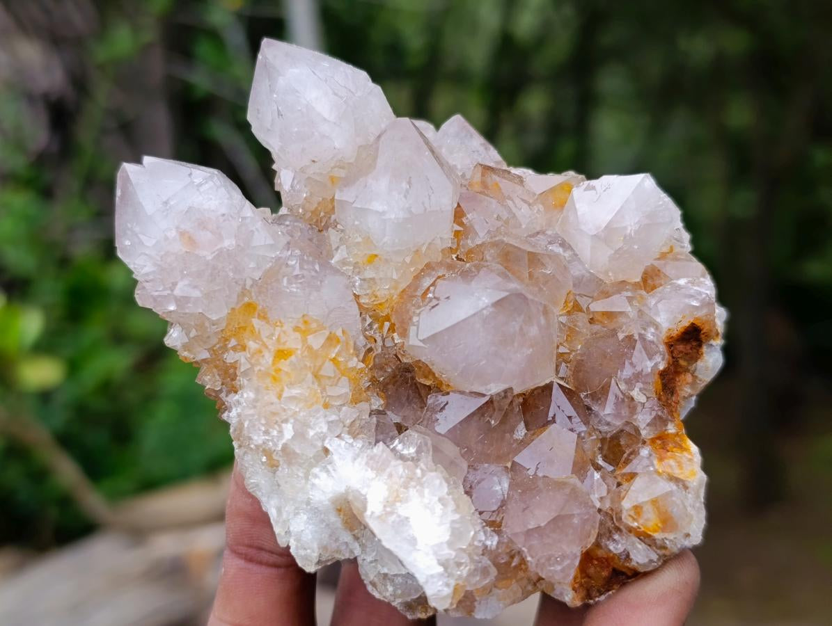 Natural Fairy Golden Limonite Spirit Quartz Crystals x 6 From Boekenhouthoek, South Africa - Toprock Gemstones and Minerals 