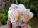 Natural Fairy Golden Limonite Spirit Quartz Crystals x 6 From Boekenhouthoek, South Africa - Toprock Gemstones and Minerals 