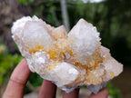 Natural Fairy Golden Limonite Spirit Quartz Crystals x 6 From Boekenhouthoek, South Africa - Toprock Gemstones and Minerals 