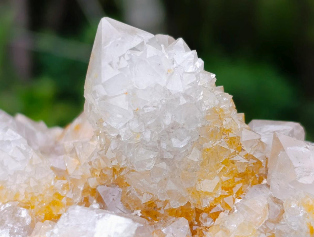 Natural Fairy Golden Limonite Spirit Quartz Crystals x 6 From Boekenhouthoek, South Africa - Toprock Gemstones and Minerals 