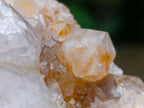 Natural Fairy Golden Limonite Spirit Quartz Crystals x 6 From Boekenhouthoek, South Africa - Toprock Gemstones and Minerals 