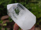 Polished Clear Quartz Display Crystals x 6 From Madagascar - Toprock Gemstones and Minerals 
