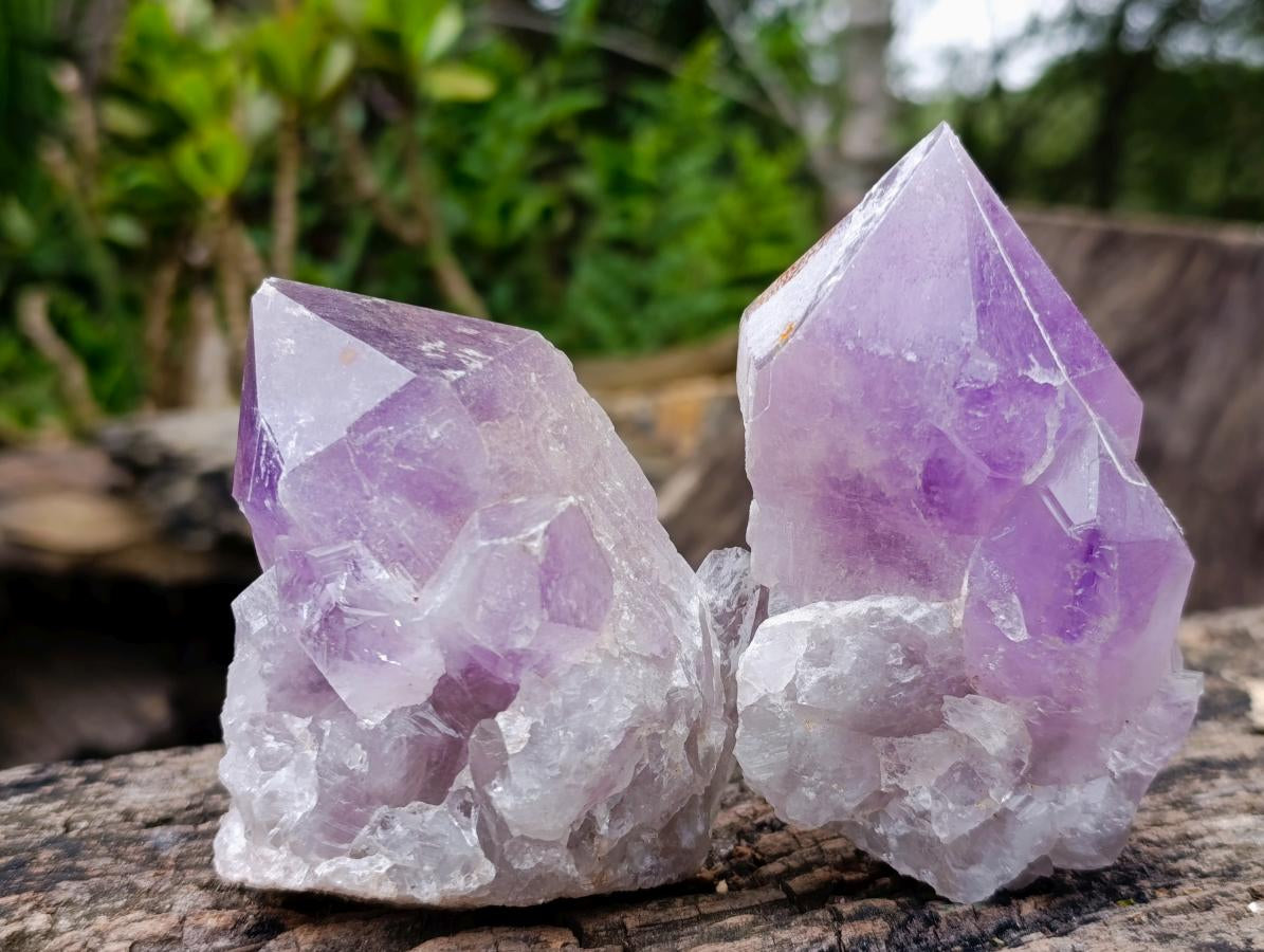 Natural Jacaranda Amethyst Crystals x 6 From Mumbwa, Zambia - Toprock Gemstones and Minerals 