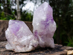Natural Jacaranda Amethyst Crystals x 6 From Mumbwa, Zambia - Toprock Gemstones and Minerals 