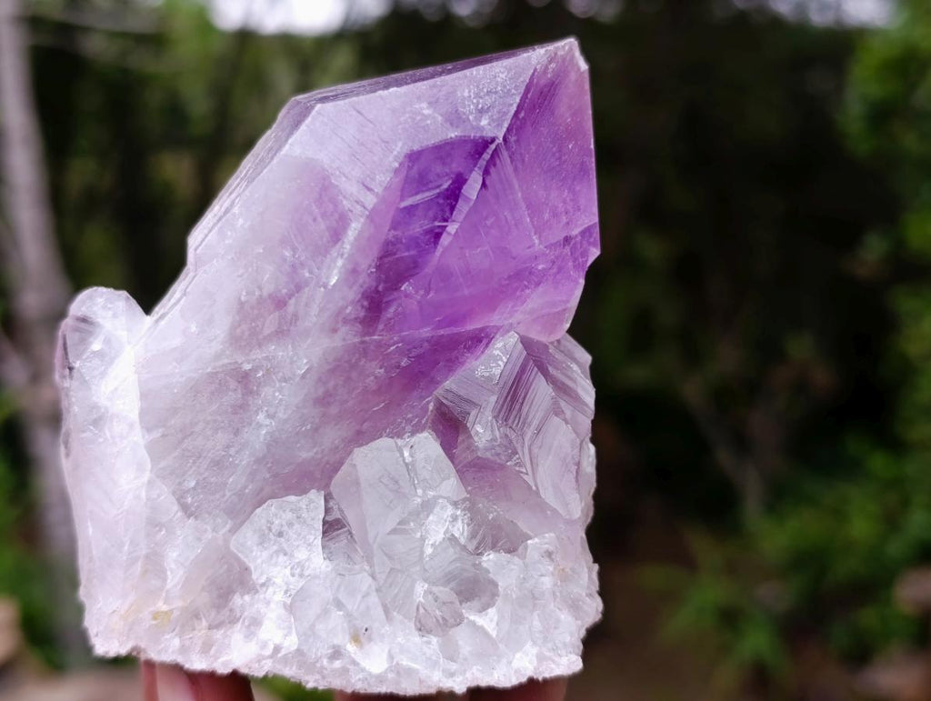 Natural Jacaranda Amethyst Crystals x 6 From Mumbwa, Zambia - Toprock Gemstones and Minerals 