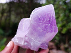 Natural Jacaranda Amethyst Crystals x 6 From Mumbwa, Zambia - Toprock Gemstones and Minerals 