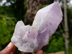 Natural Jacaranda Amethyst Crystals x 6 From Mumbwa, Zambia - Toprock Gemstones and Minerals 