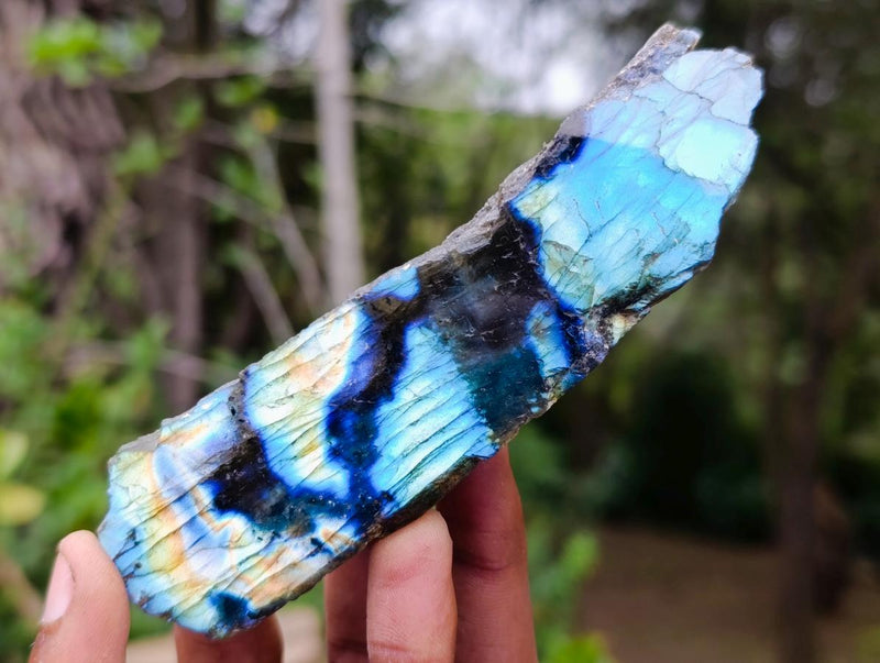 Polished One Side Labradorite Slices x 12 From Madagascar - Toprock Gemstones and Minerals 