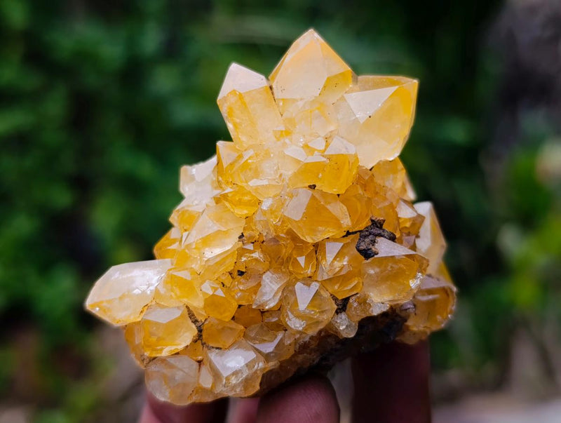 Natural Golden Limonite Quartz Clusters x 24 From Solwezi, Zambia - Toprock Gemstones and Minerals 