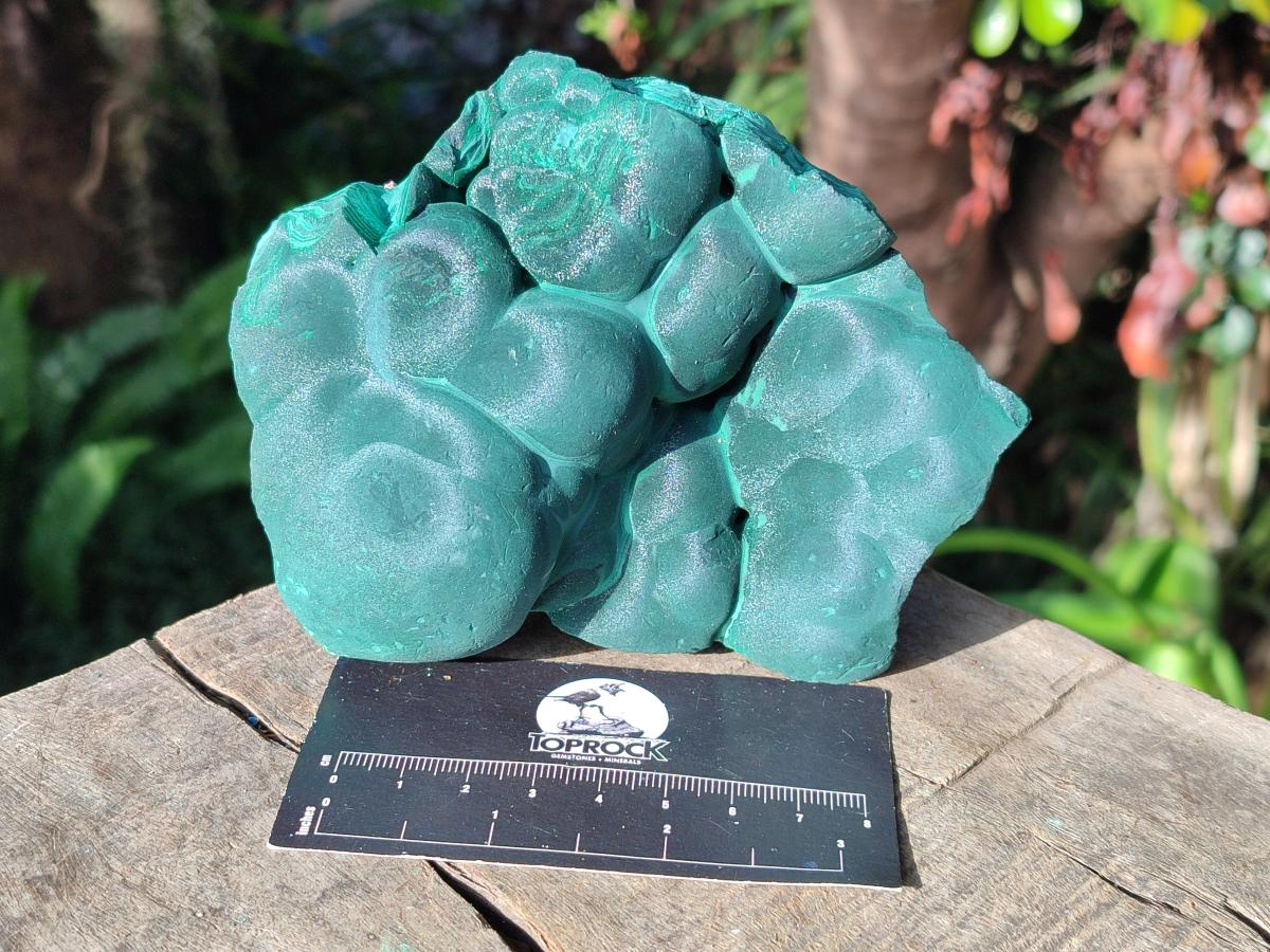Natural Botryoidal Malachite Specimens x 3 From Congo - Toprock Gemstones and Minerals 