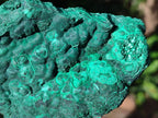 Natural Botryoidal Malachite Specimens x 3 From Congo - Toprock Gemstones and Minerals 