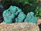 Natural Botryoidal Malachite Specimens x 3 From Congo - Toprock Gemstones and Minerals 