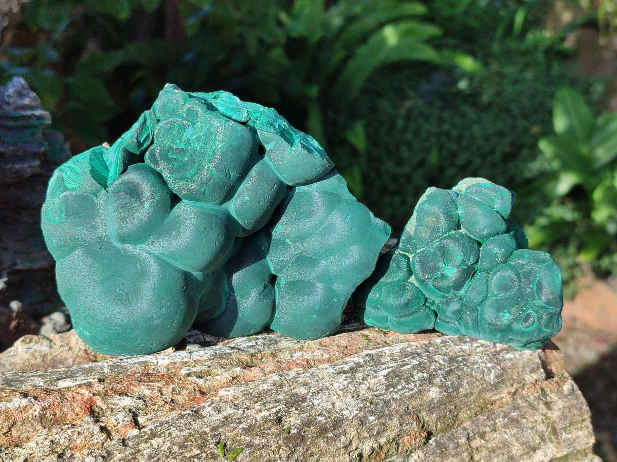 Natural Botryoidal Malachite Specimens x 3 From Congo - Toprock Gemstones and Minerals 
