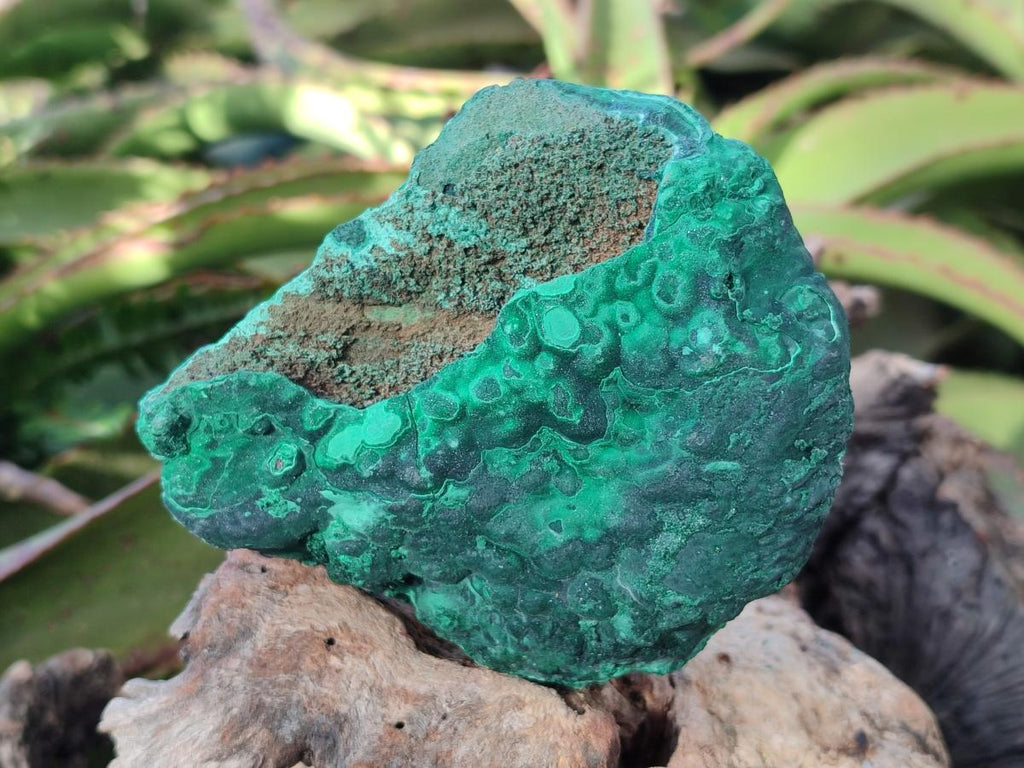 Natural Botryoidal Malachite Specimens x 3 From Congo - Toprock Gemstones and Minerals 