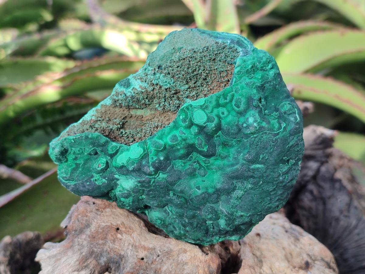 Natural Botryoidal Malachite Specimens x 3 From Congo - Toprock Gemstones and Minerals 