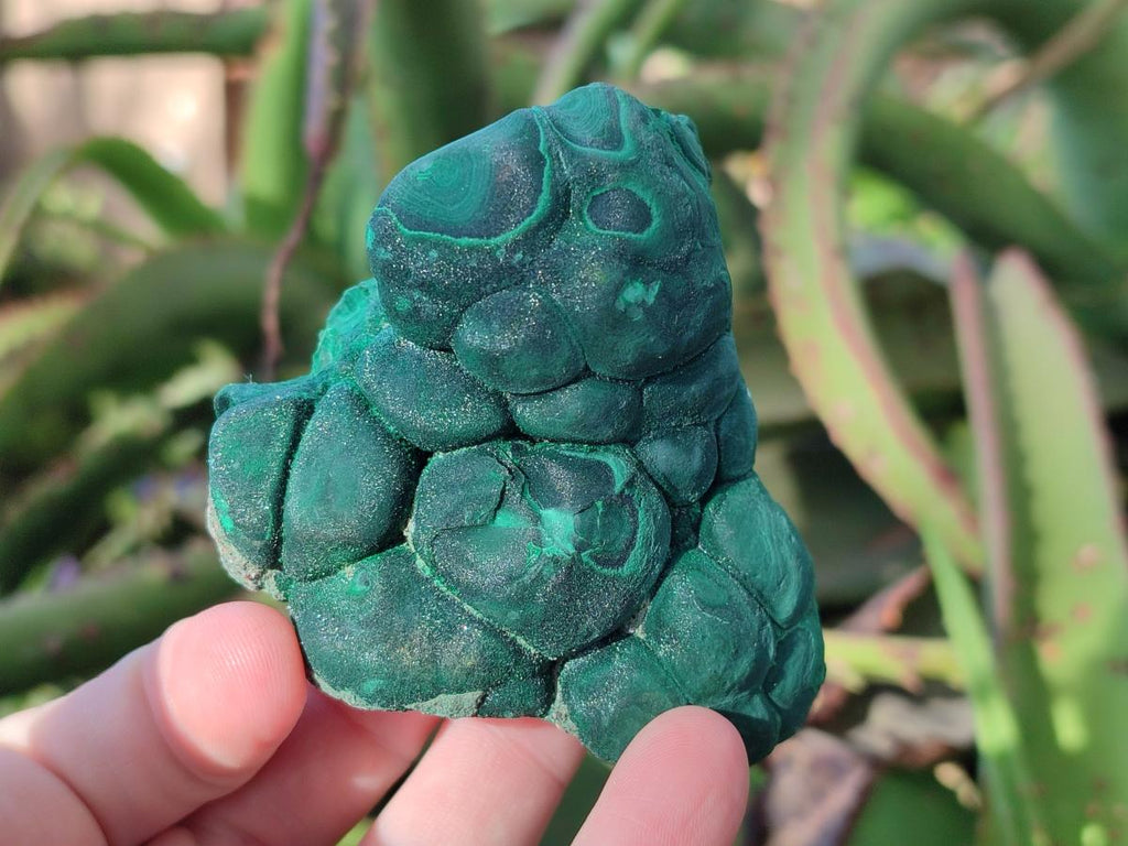 Natural Botryoidal Malachite Specimens x 3 From Congo - Toprock Gemstones and Minerals 