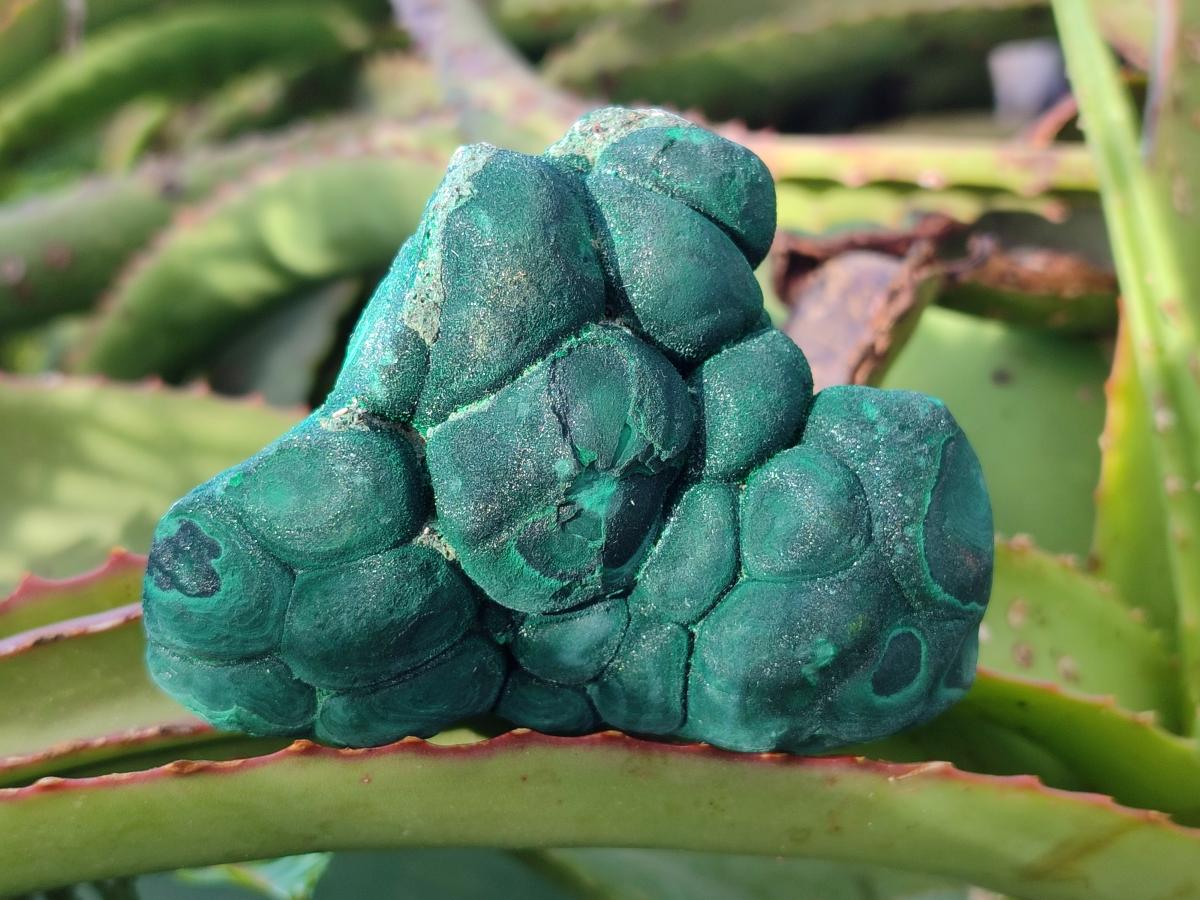 Natural Botryoidal Malachite Specimens x 3 From Congo - Toprock Gemstones and Minerals 