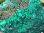 Natural Botryoidal Malachite Specimens x 3 From Congo - Toprock Gemstones and Minerals 