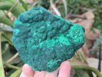 Natural Botryoidal Malachite Specimens x 3 From Congo - Toprock Gemstones and Minerals 