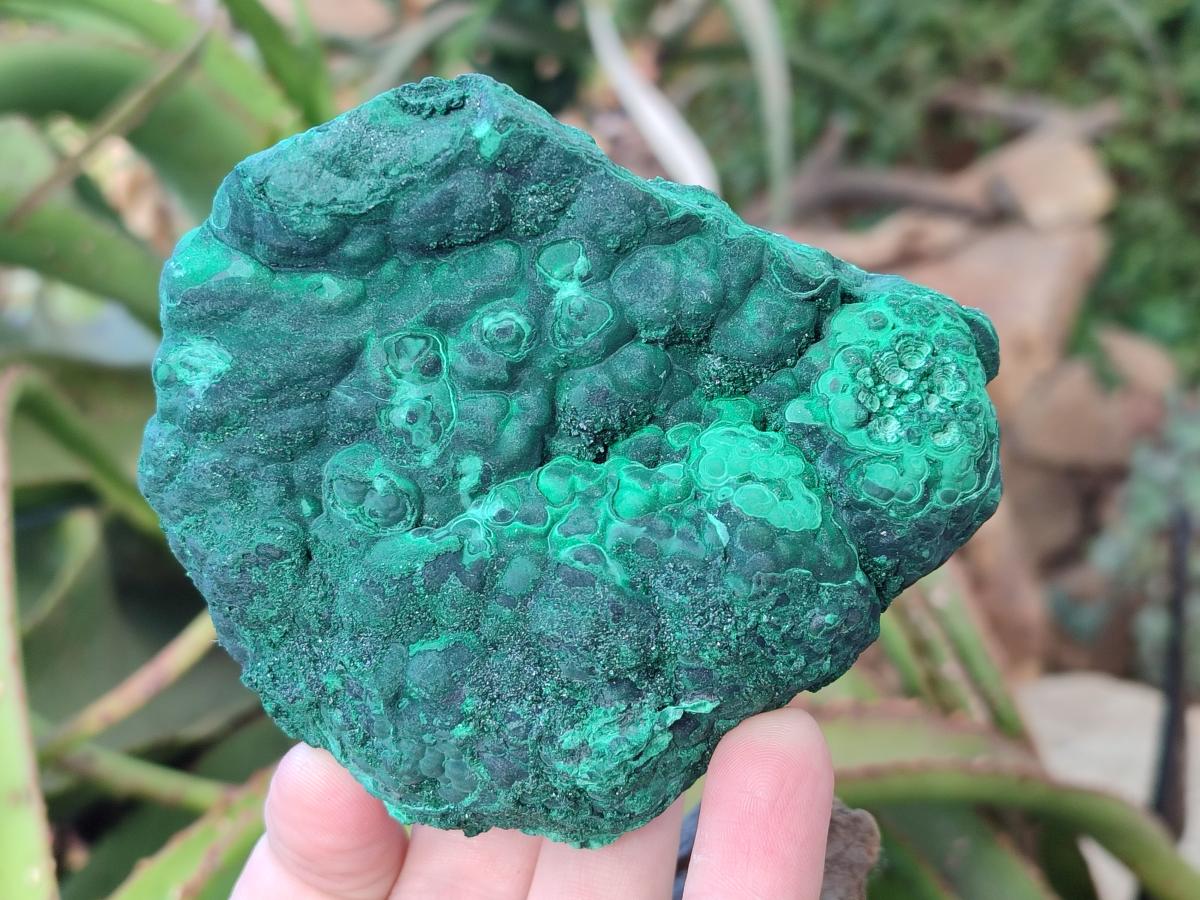 Natural Botryoidal Malachite Specimens x 3 From Congo - Toprock Gemstones and Minerals 