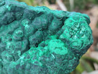 Natural Botryoidal Malachite Specimens x 3 From Congo - Toprock Gemstones and Minerals 