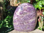 Polished Lepidolite Standing Display Pieces x 2 From Ambatondrazaka, Madagascar - Toprock Gemstones and Minerals 
