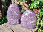Polished Lepidolite Standing Display Pieces x 2 From Ambatondrazaka, Madagascar - Toprock Gemstones and Minerals 