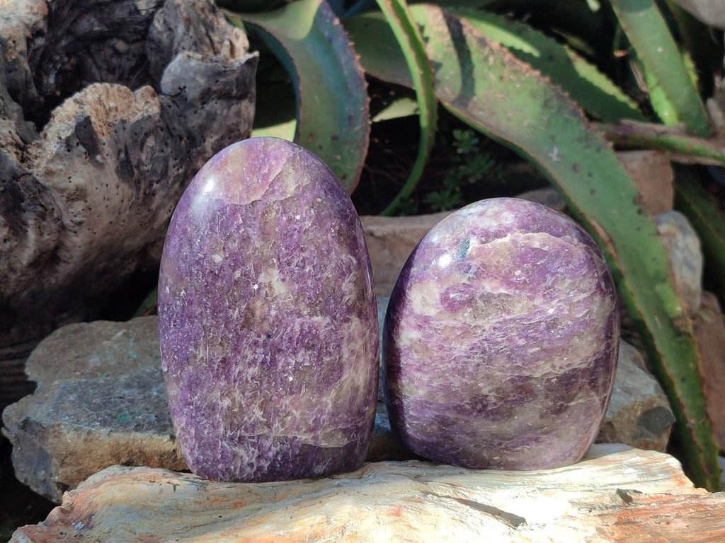 Polished Lepidolite Standing Display Pieces x 2 From Ambatondrazaka, Madagascar - Toprock Gemstones and Minerals 