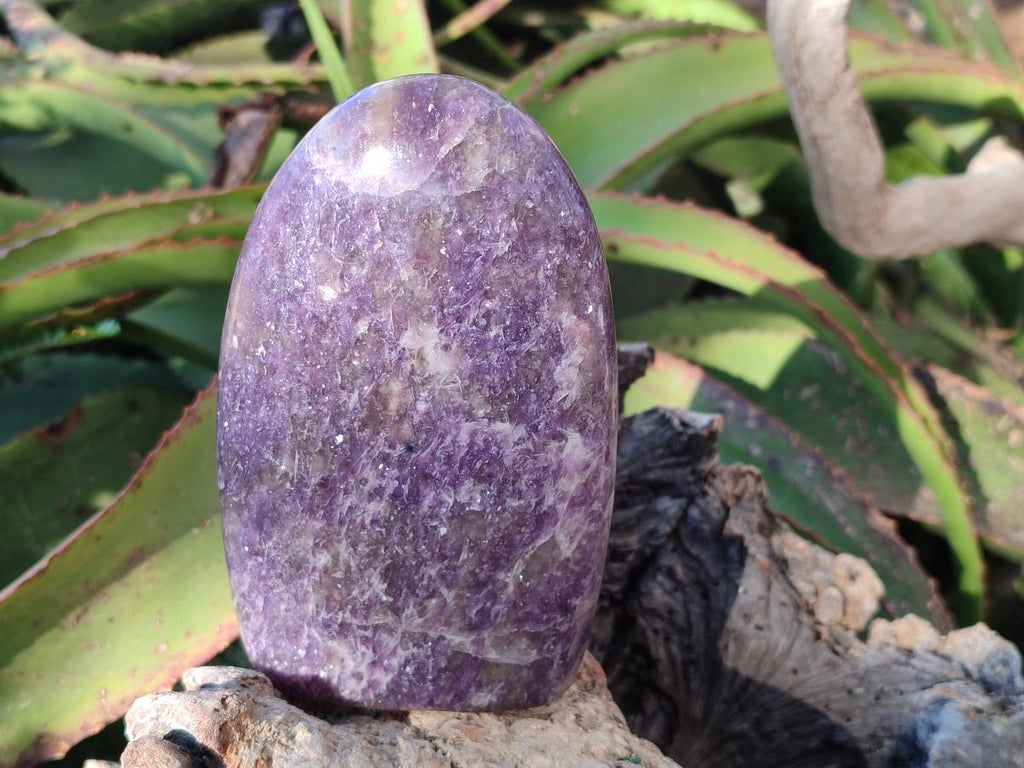 Polished Lepidolite Standing Display Pieces x 2 From Ambatondrazaka, Madagascar - Toprock Gemstones and Minerals 