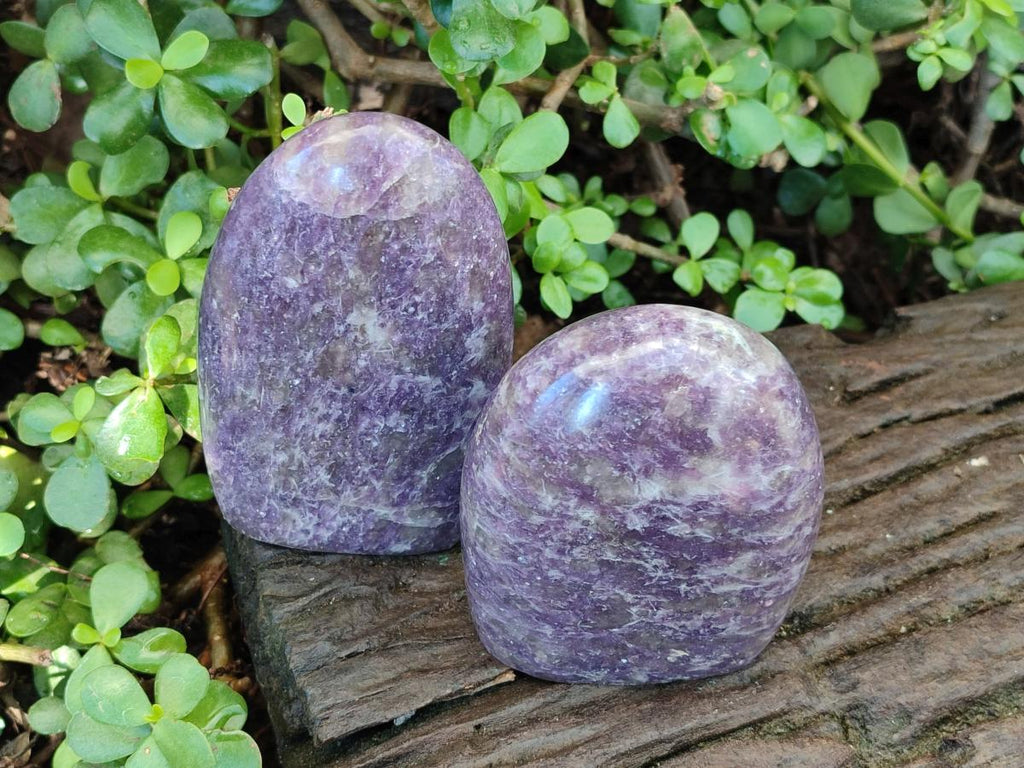 Polished Lepidolite Standing Display Pieces x 2 From Ambatondrazaka, Madagascar - Toprock Gemstones and Minerals 