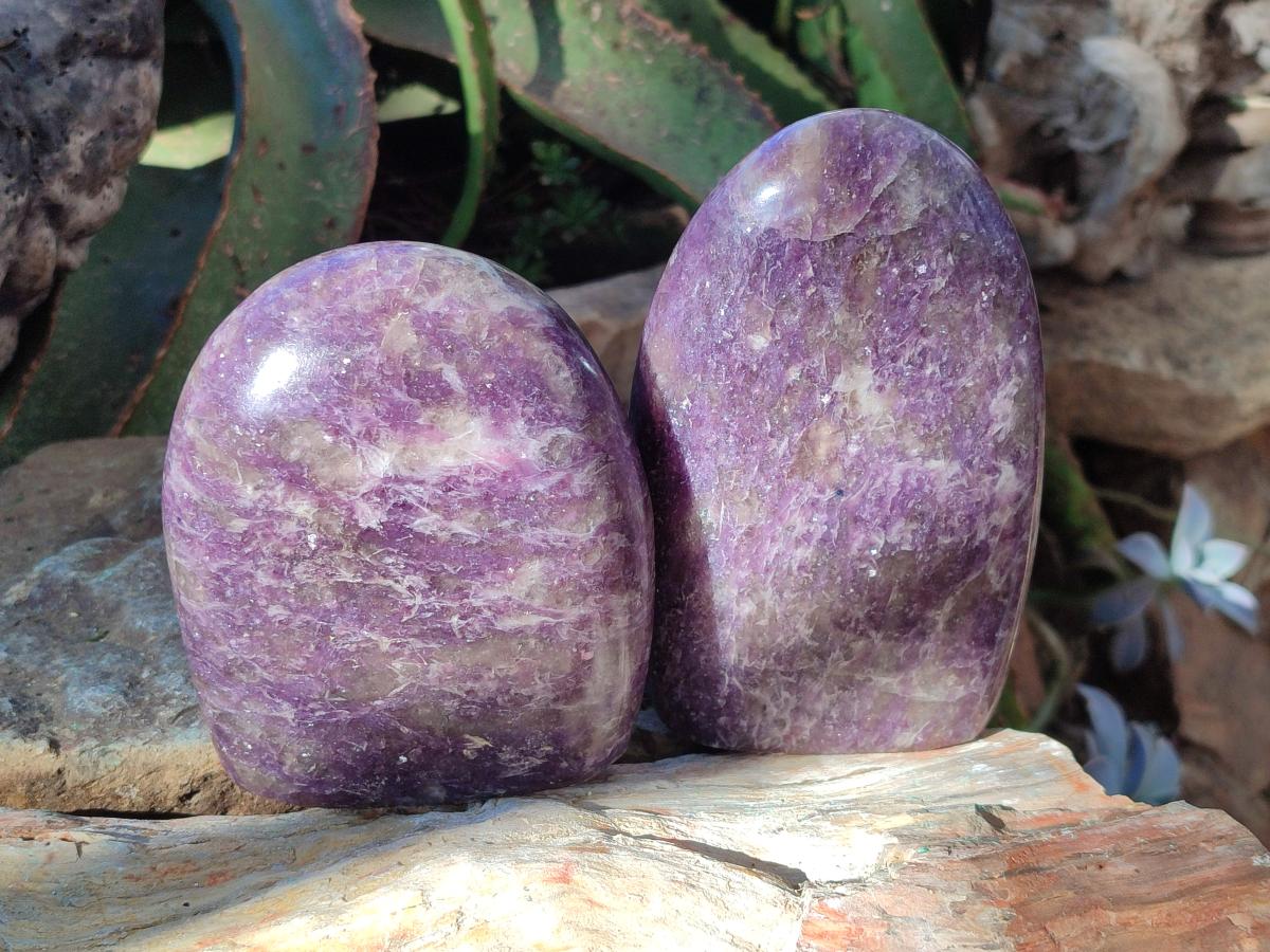 Polished Lepidolite Standing Display Pieces x 2 From Ambatondrazaka, Madagascar - Toprock Gemstones and Minerals 