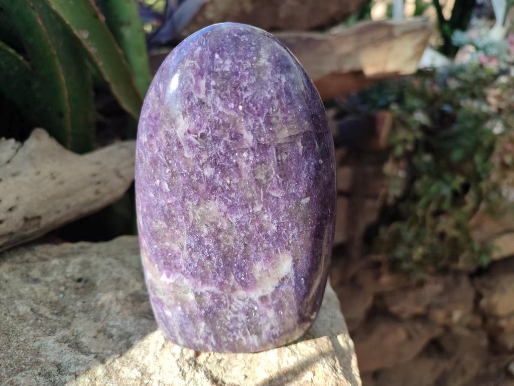 Polished Lepidolite Standing Display Pieces x 2 From Ambatondrazaka, Madagascar - Toprock Gemstones and Minerals 