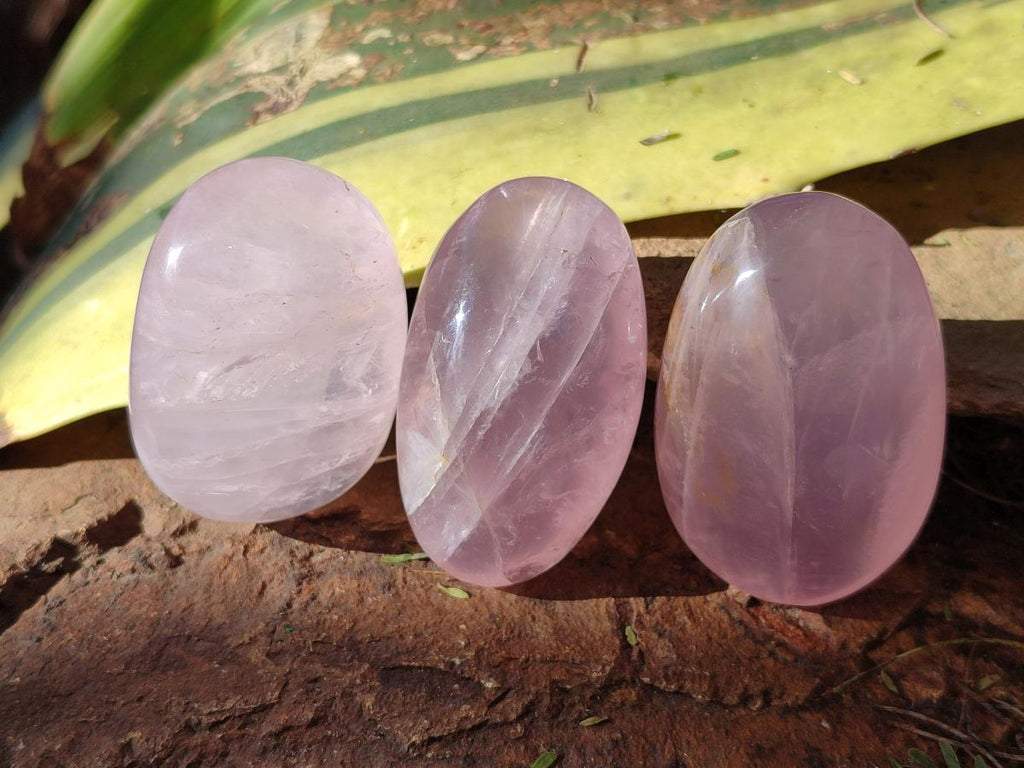 Polished Gemmy Rose Quartz Palm Stones x 20 From Madagascar - Toprock Gemstones and Minerals 