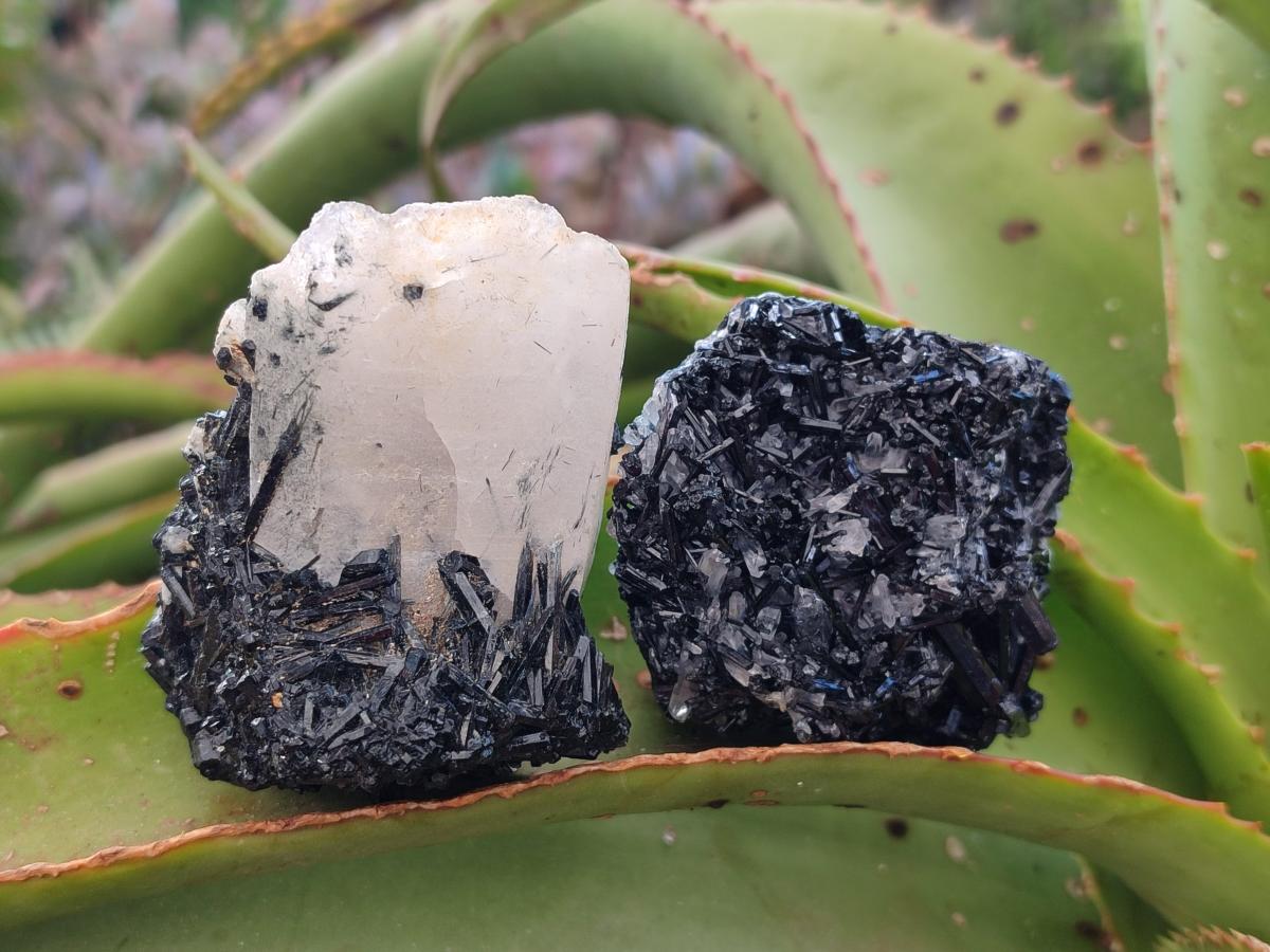 Natural Schorl Black Tourmaline with Associated Minerals x 12 From Erongo, Namibia - Toprock Gemstones and Minerals 