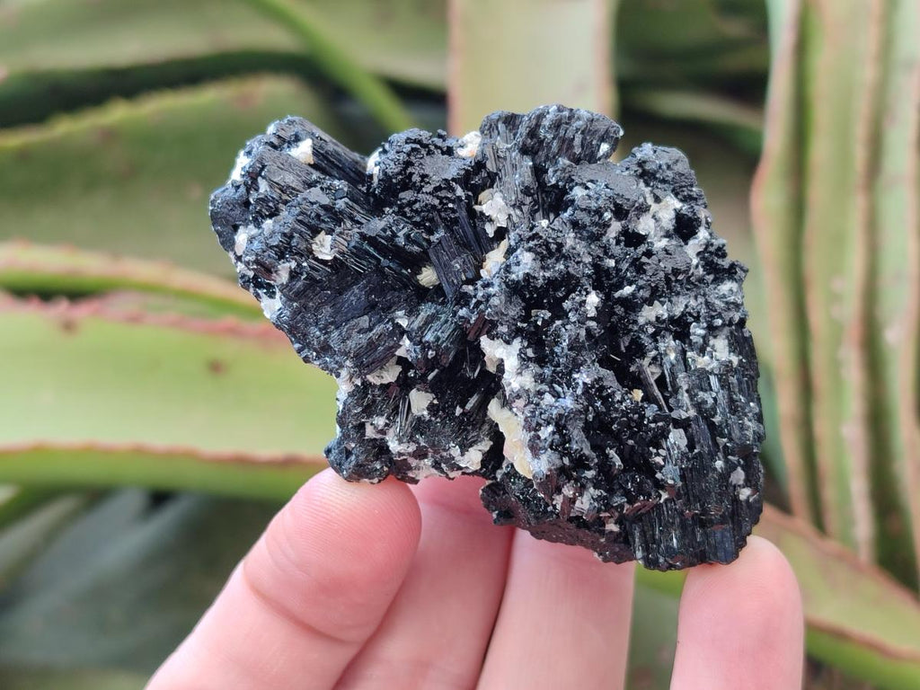Natural Schorl Black Tourmaline with Associated Minerals x 12 From Erongo, Namibia - Toprock Gemstones and Minerals 