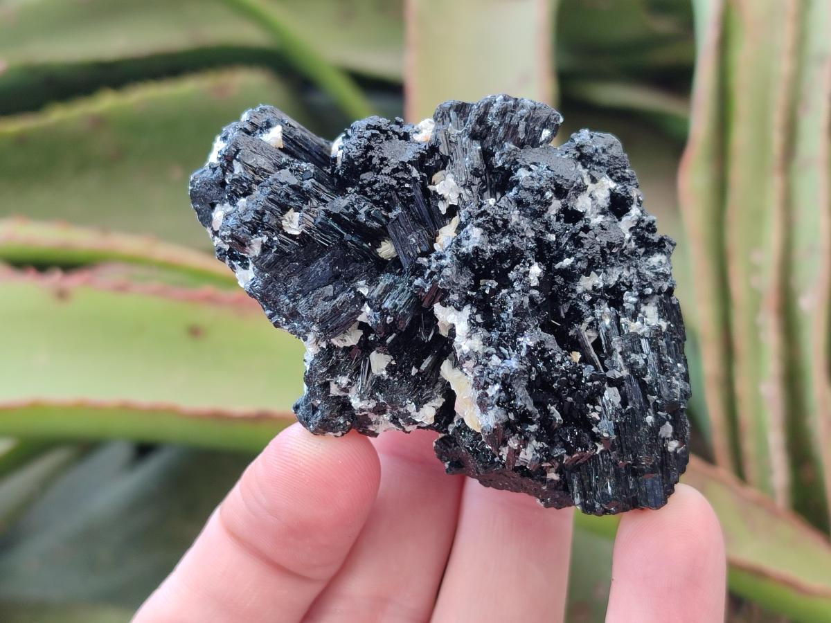 Natural Schorl Black Tourmaline with Associated Minerals x 12 From Erongo, Namibia - Toprock Gemstones and Minerals 