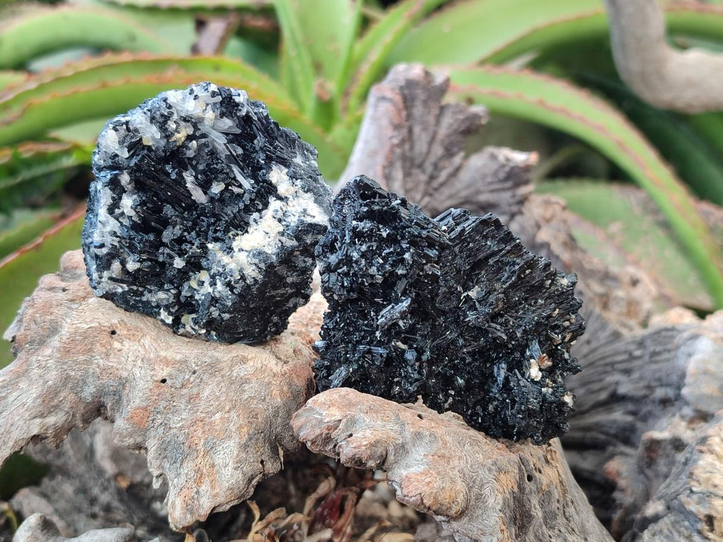 Natural Schorl Black Tourmaline with Associated Minerals x 12 From Erongo, Namibia - Toprock Gemstones and Minerals 