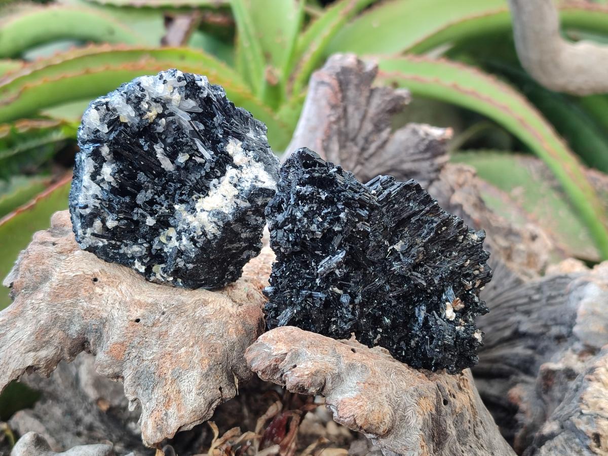 Natural Schorl Black Tourmaline with Associated Minerals x 12 From Erongo, Namibia - Toprock Gemstones and Minerals 