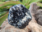 Natural Schorl Black Tourmaline with Associated Minerals x 12 From Erongo, Namibia - Toprock Gemstones and Minerals 