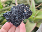 Natural Schorl Black Tourmaline with Associated Minerals x 12 From Erongo, Namibia - Toprock Gemstones and Minerals 