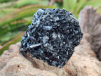 Natural Schorl Black Tourmaline with Associated Minerals x 12 From Erongo, Namibia - Toprock Gemstones and Minerals 