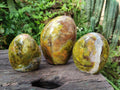 Polished Green Opal Standing Display Pieces x 5 From Betroka, Madagascar - Toprock Gemstones and Minerals 