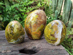Polished Green Opal Standing Display Pieces x 5 From Betroka, Madagascar - Toprock Gemstones and Minerals 