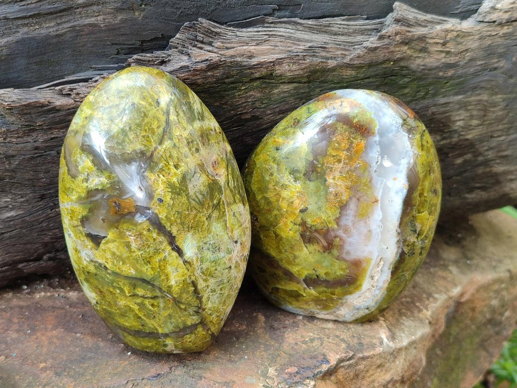 Polished Green Opal Standing Display Pieces x 5 From Betroka, Madagascar - Toprock Gemstones and Minerals 