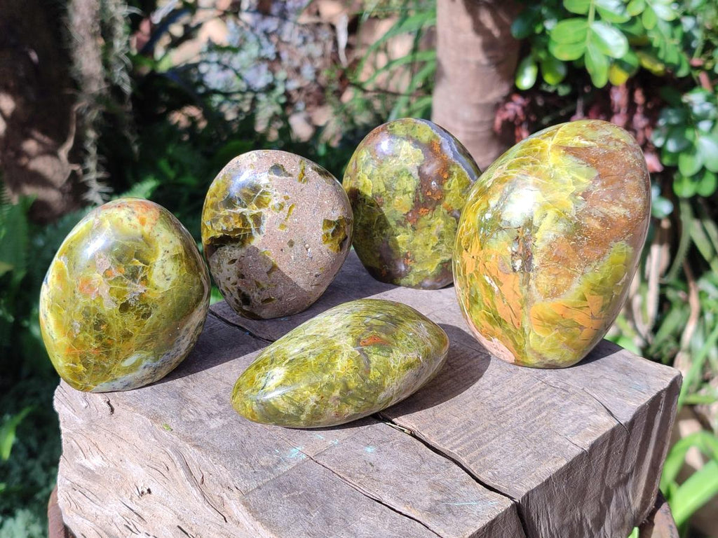 Polished Green Opal Standing Display Pieces x 5 From Betroka, Madagascar - Toprock Gemstones and Minerals 