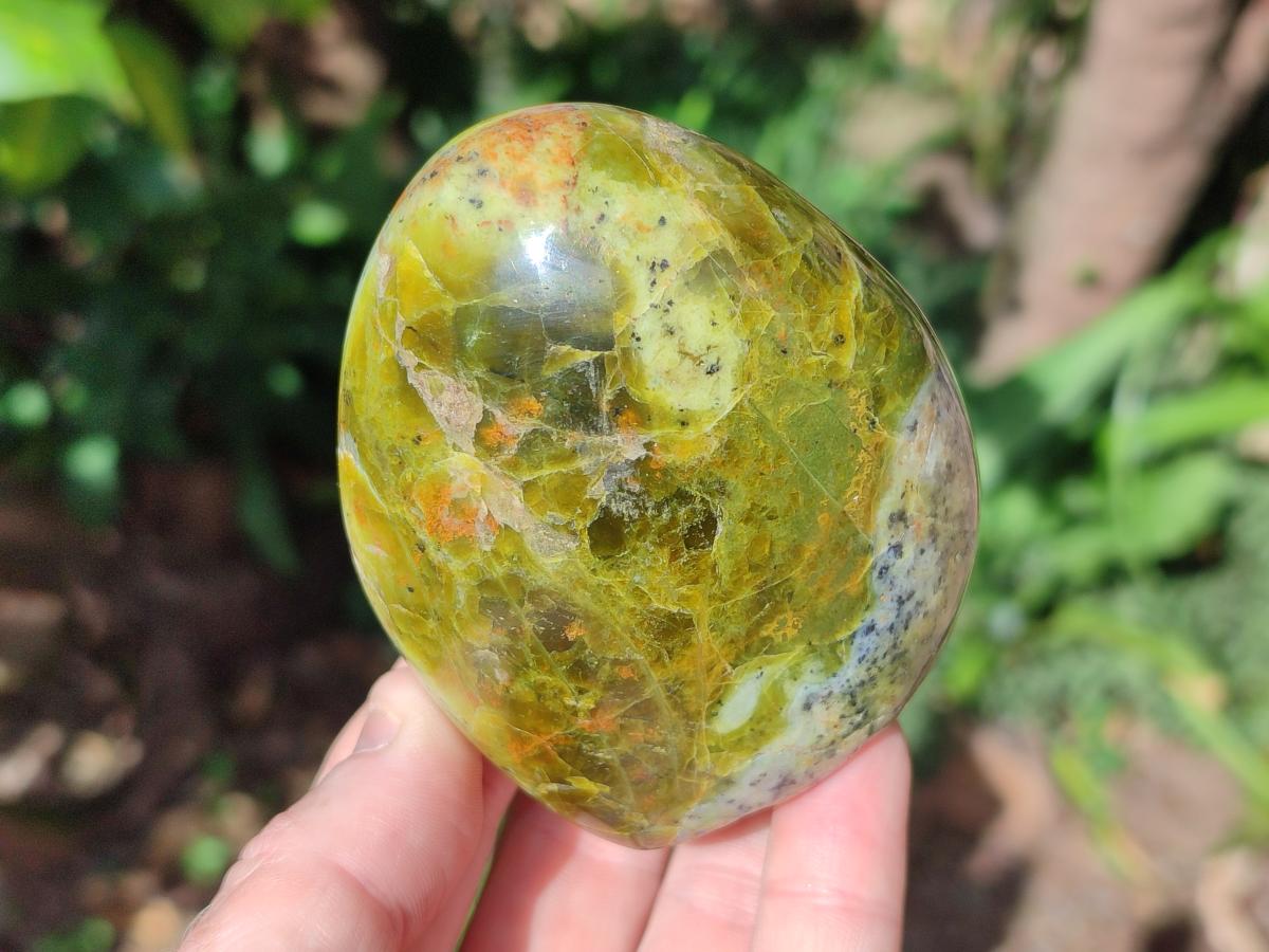 Polished Green Opal Standing Display Pieces x 5 From Betroka, Madagascar - Toprock Gemstones and Minerals 