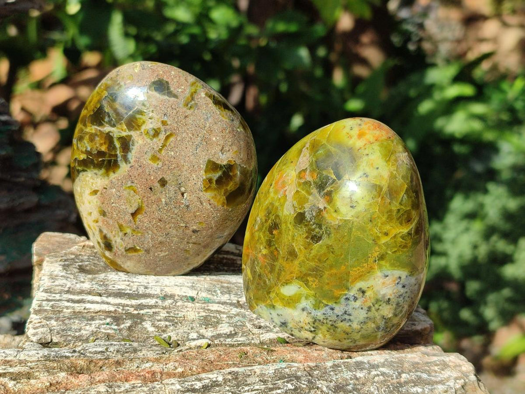 Polished Green Opal Standing Display Pieces x 5 From Betroka, Madagascar - Toprock Gemstones and Minerals 