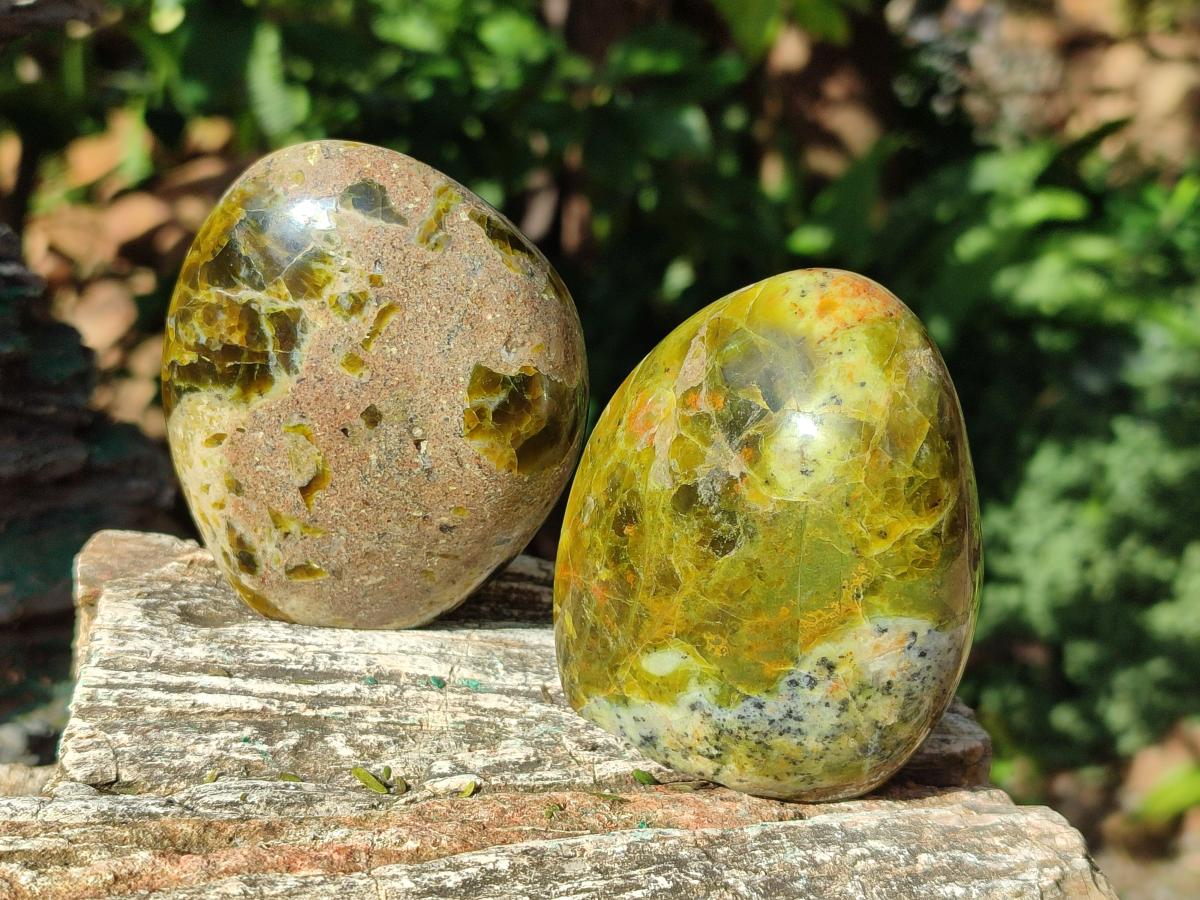 Polished Green Opal Standing Display Pieces x 5 From Betroka, Madagascar - Toprock Gemstones and Minerals 