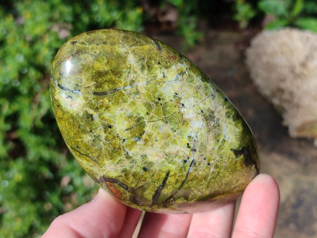 Polished Green Opal Standing Display Pieces x 5 From Betroka, Madagascar - Toprock Gemstones and Minerals 